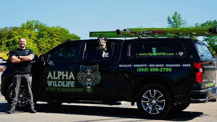 Alpha Wildlife and Pest Management Picture 10