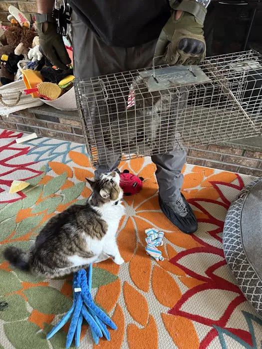 Alpha Wildlife and Pest Management Picture 8