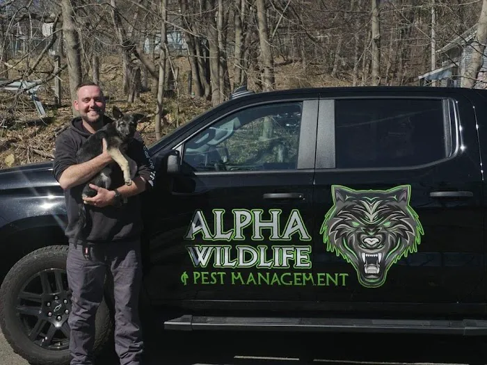 Alpha Wildlife and Pest Management Picture 9
