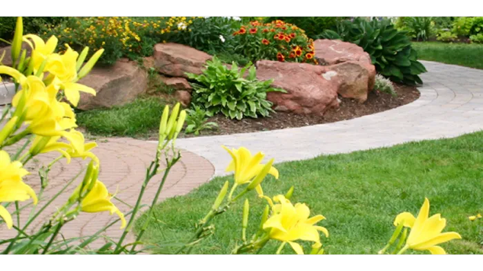 Phoenix Pest Control LLC Picture 10