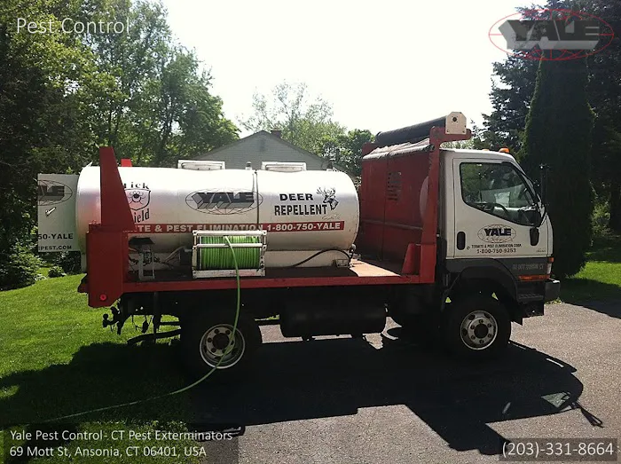 Yale Pest Control Picture 3