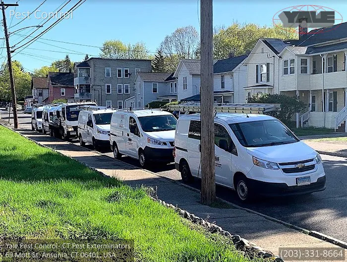 Yale Pest Control Picture 10