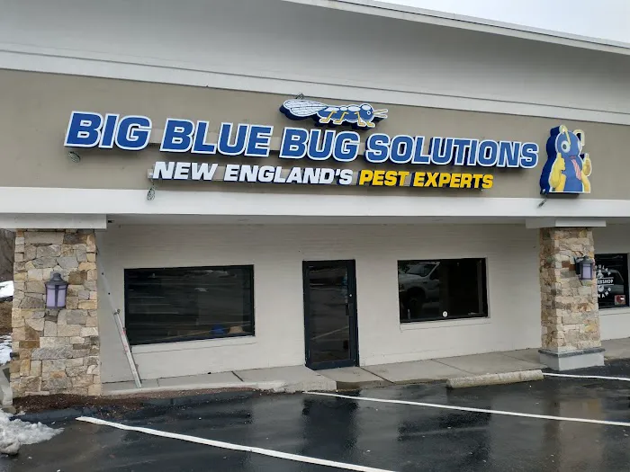Big Blue Bug Solutions Picture 2