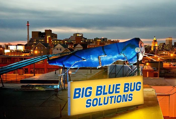 Big Blue Bug Solutions Picture 3