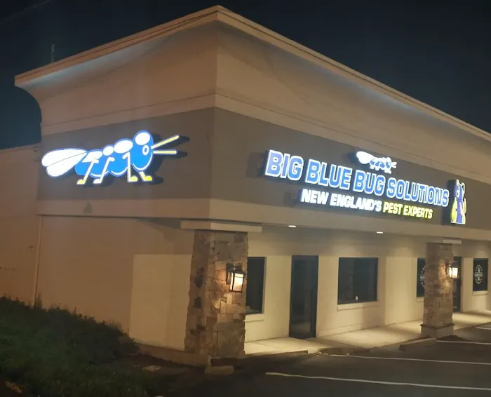 Big Blue Bug Solutions Picture 1