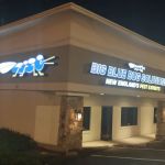 Big Blue Bug Solutions