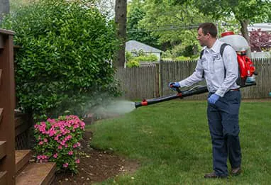 Big Blue Bug Solutions Picture 10