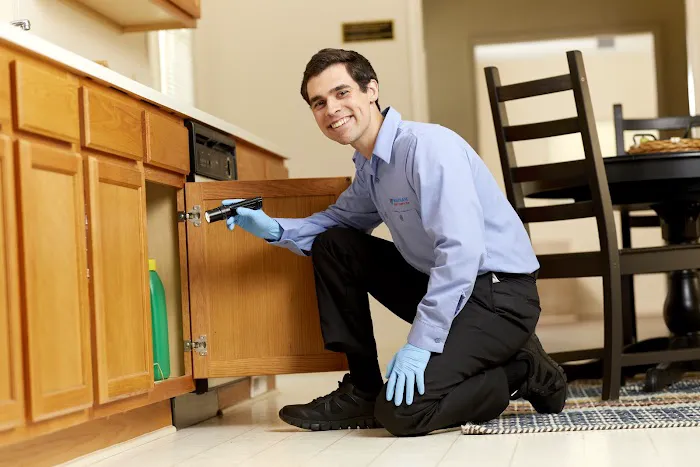 Waltham Pest Services Picture 3