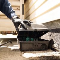 Fox Pest Control Long Island ico