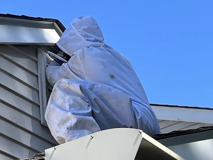 Fox Pest Control Long Island Picture 8