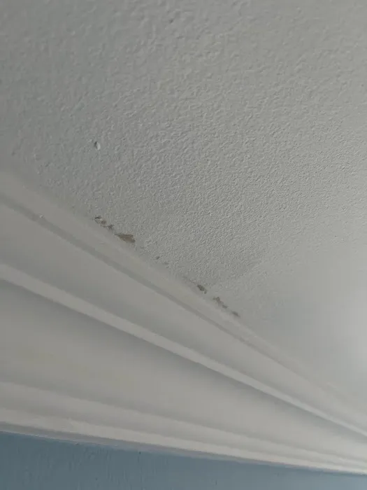 Precision Exterminating Services, Inc. Picture 7