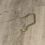 Precision Exterminating Services, Inc.