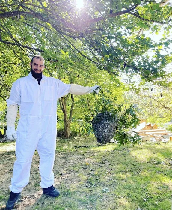 Precision Exterminating Services, Inc. Picture 6