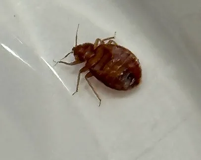 General Exterminating Picture 3