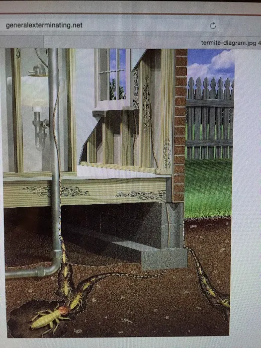 General Exterminating Picture 2
