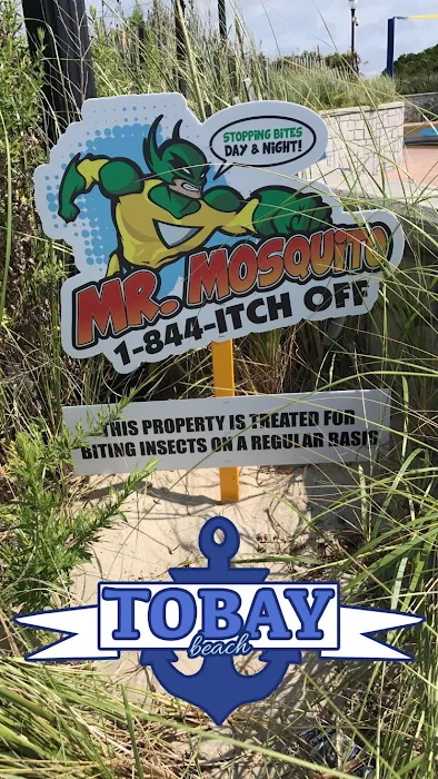 Mr. Mosquito Picture 7