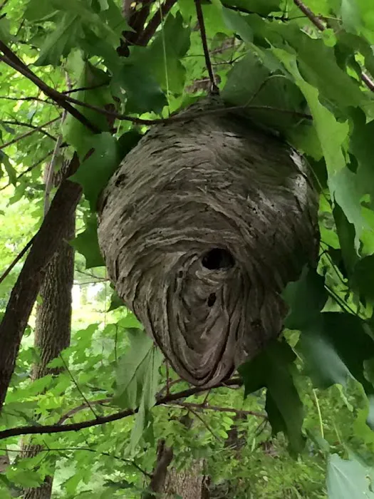 Herold's Pest Control Picture 1