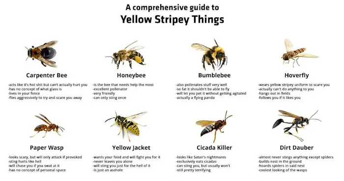 Herold's Pest Control Picture 5