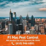 PJ Mac Pest Control