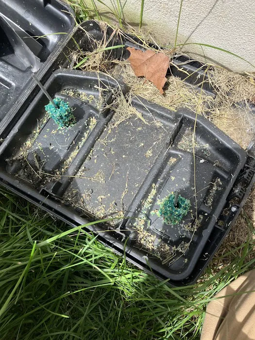 Greenix Pest Control Picture 4