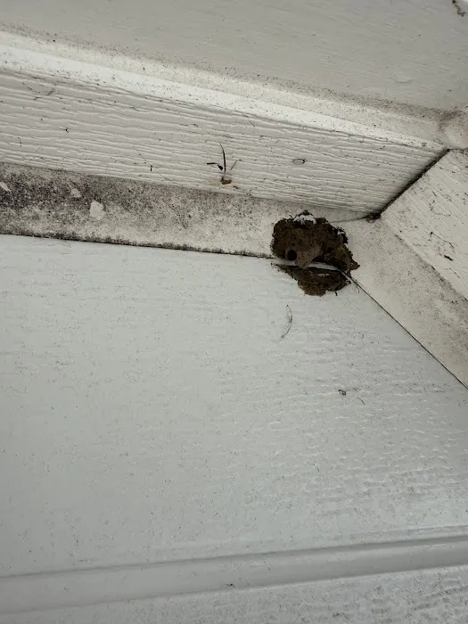 Greenix Pest Control Picture 9