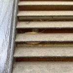 Greenix Pest Control