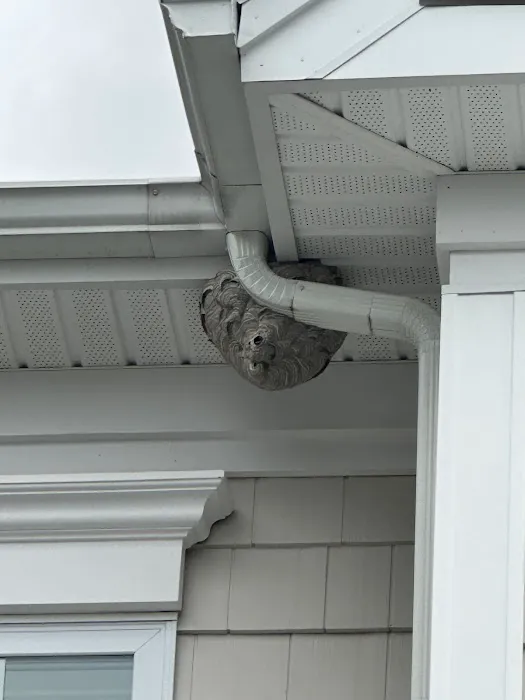 Orkin Picture 1
