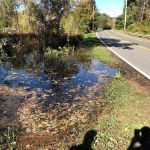 Catskill Animal Damage Control