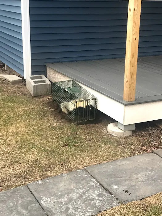 Catskill Animal Damage Control Picture 9