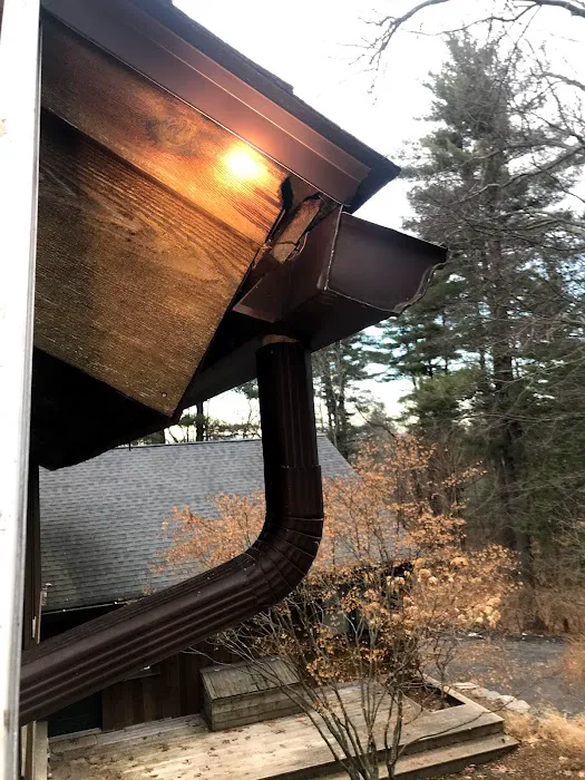 Catskill Animal Damage Control Picture 6
