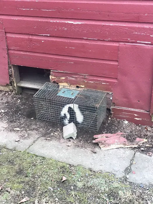 Catskill Animal Damage Control Picture 8