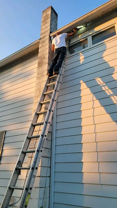 AAliant Pest Control (NEPA) Picture 10