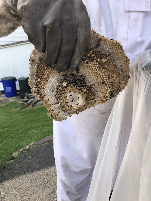 PestPractice Picture 10