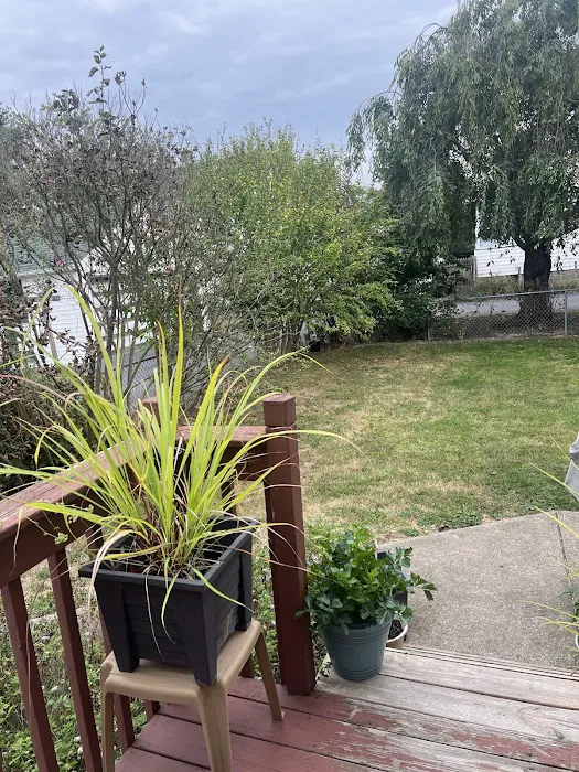 Evergreen Pest Solutions Picture 9