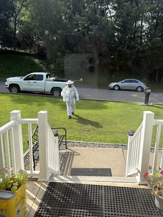 Evergreen Pest Solutions Picture 10