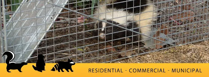 Wentzel Wildlife Pest Control Picture 2
