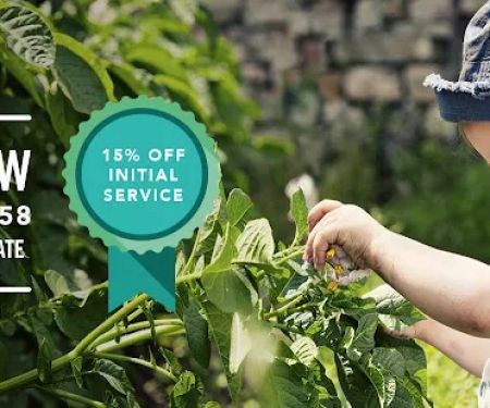 Mike's Pest Management
