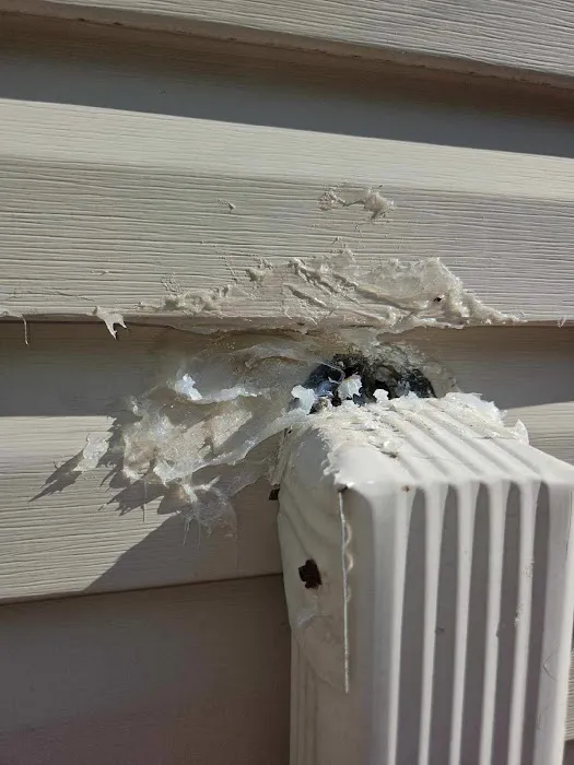 Greenix Pest Control Picture 1