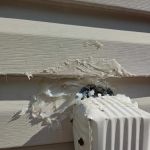 Greenix Pest Control