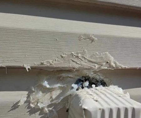 Greenix Pest Control