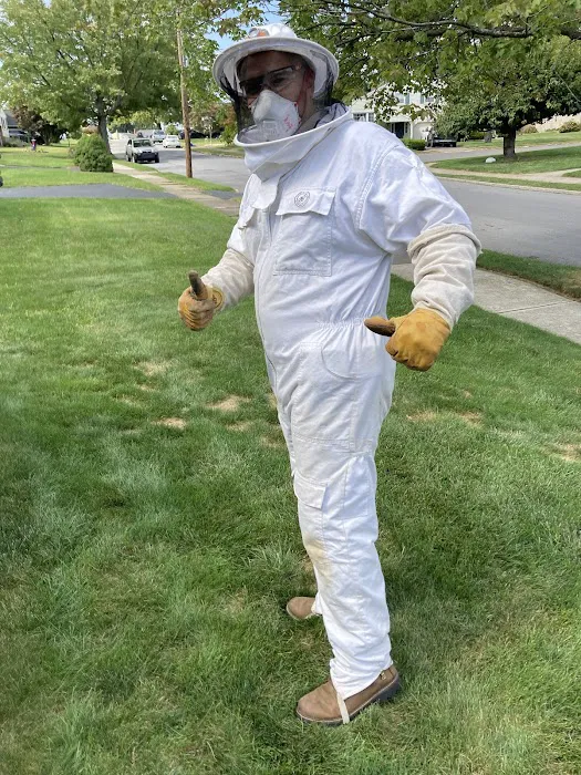 B-Gone Exterminating, LLC Picture 3
