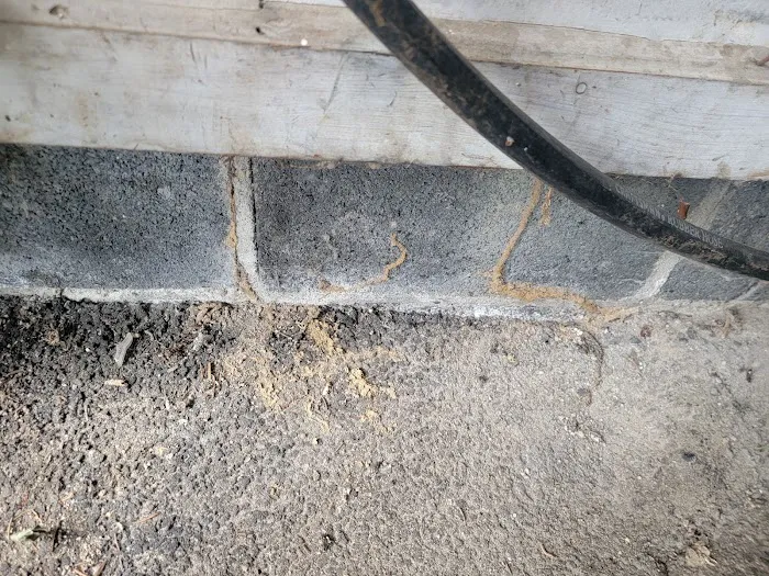 B-Gone Exterminating, LLC Picture 4