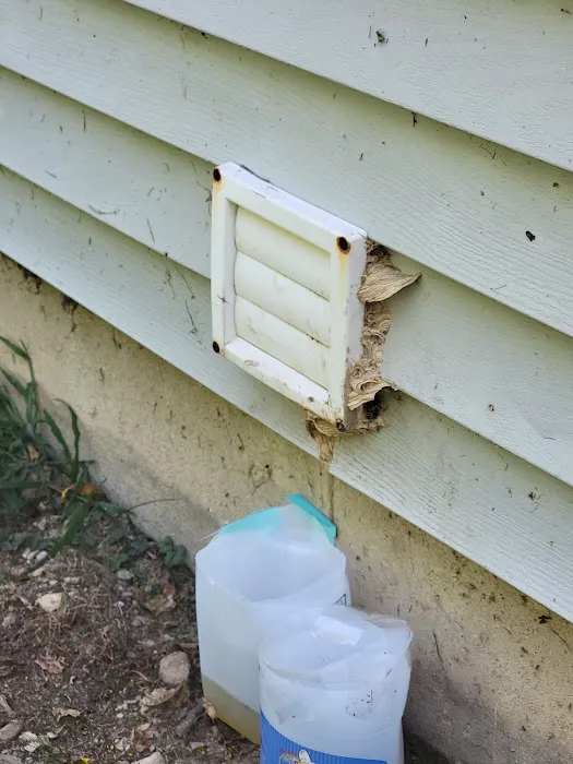 B-Gone Exterminating, LLC Picture 1