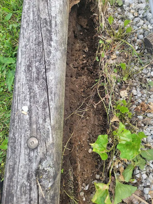 B-Gone Exterminating, LLC Picture 10