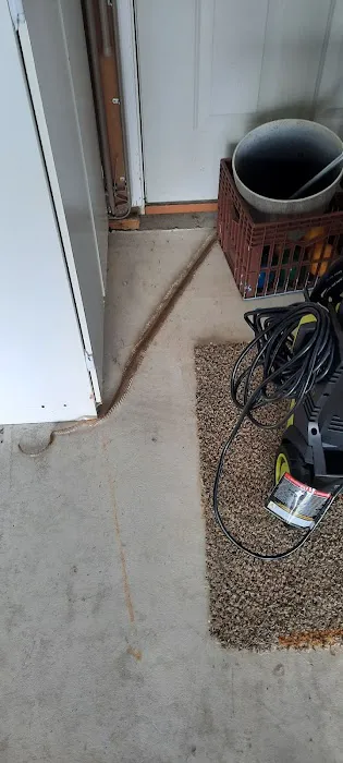 Allentown Animal Exterminator Picture 3