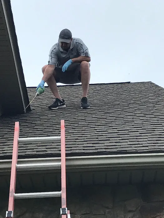 Enviro-Tech Pest Services Picture 10