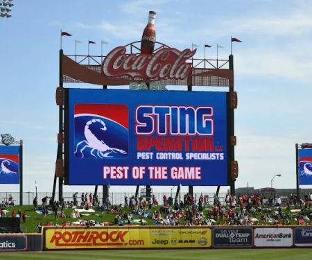 Sting Operation Pest control