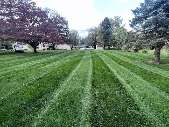 Delaware Valley Turf Picture 1