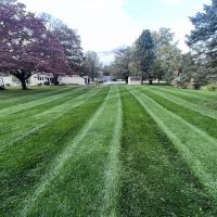 Delaware Valley Turf ico