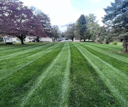 Delaware Valley Turf